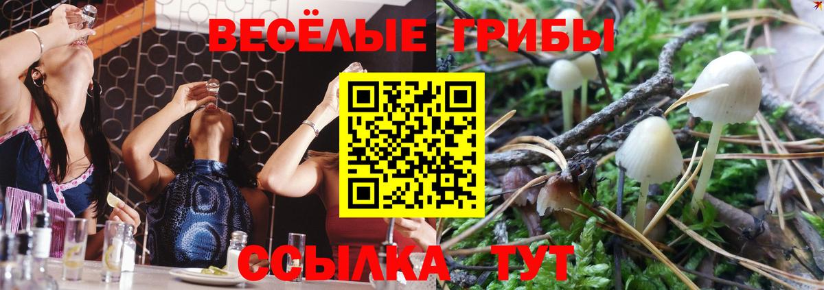 цена   Псилоцибиновые грибы Psilocybine cubensis  Вход с VPN  Кисловодск 