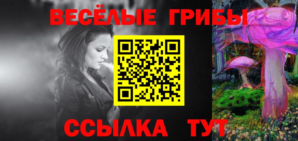 Псилоцибиновые грибы мицелий Кисловодск
